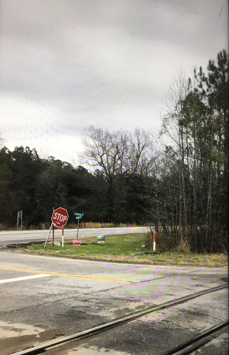 00000 Savannah Hw, Adams Run, SC 29426