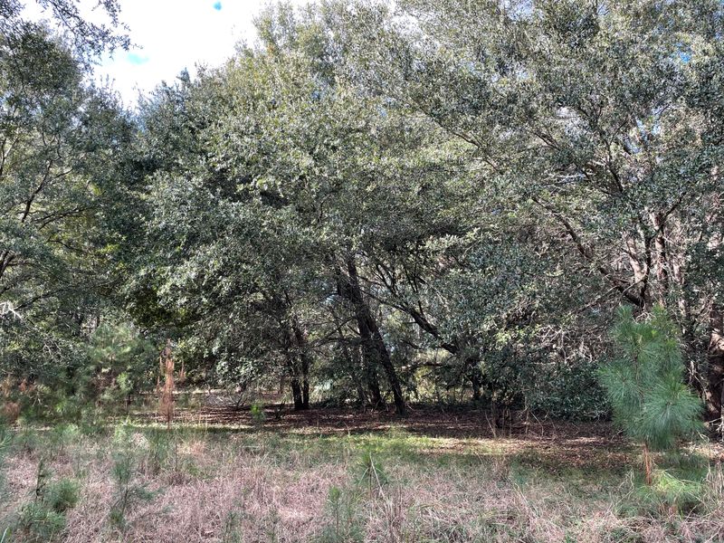 8756 Marsh Aire Ln, Edisto Island, SC 29438
