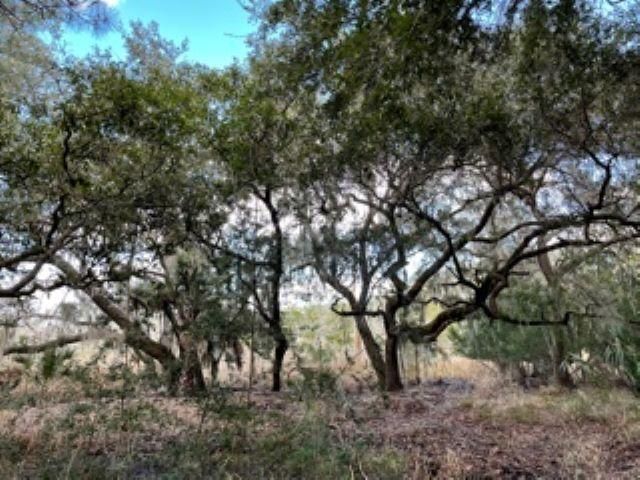8756 Marsh Aire Ln, Edisto Island, SC 29438