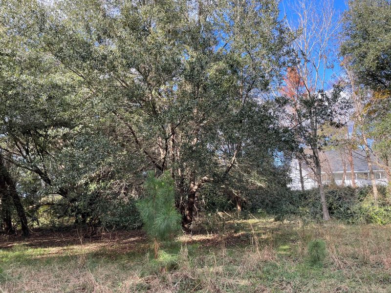 8756 Marsh Aire Ln, Edisto Island, SC 29438