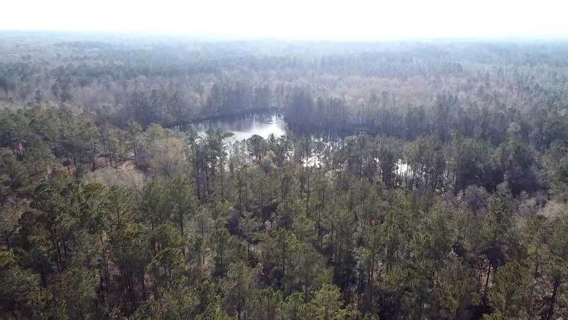 0 Old Fence Rd, Harleyville, SC 29448