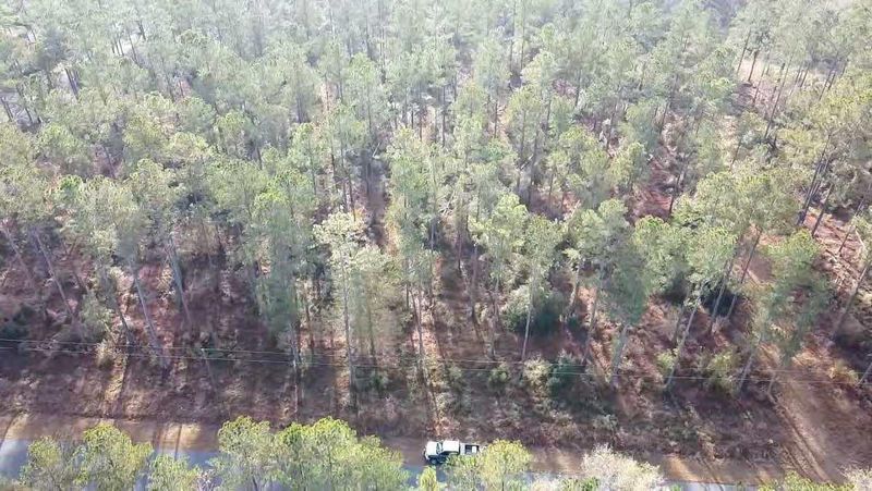 0 Mallard Lake Rd, Harleyville, SC 29448