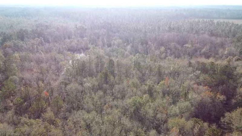 0 Mallard Lake Rd, Harleyville, SC 29448