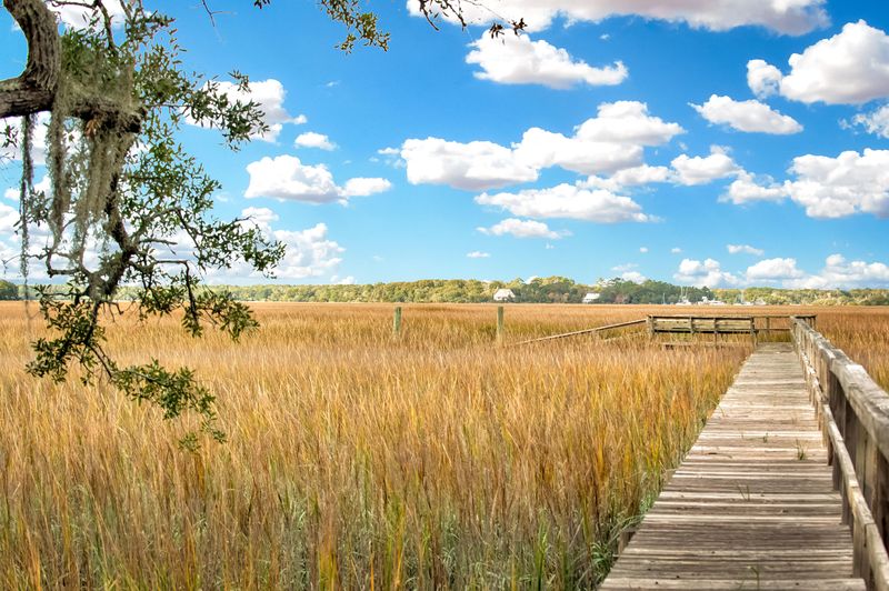 2480 Clear Marsh Dr, Seabrook Island, SC 29455
