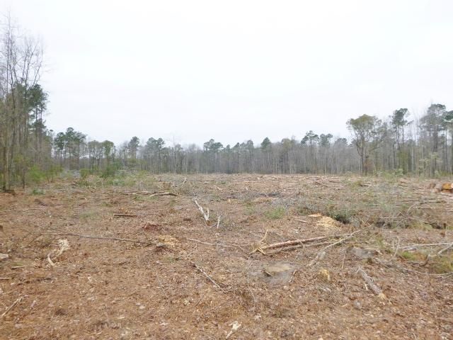 Tract 3-B Old Gilliard Rd, Ridgeville, SC 29472
