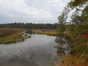 0 Sam Thompson Dr, Awendaw, SC 29429