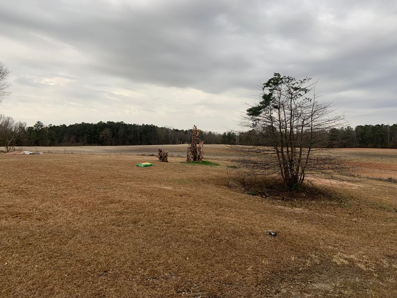 124 Danielle Hill Ln, Saint Stephen, SC 29479