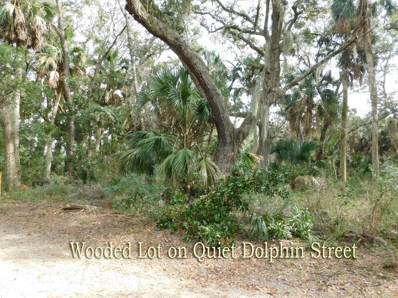 617 Dolphin St, Edisto Beach, SC 29438