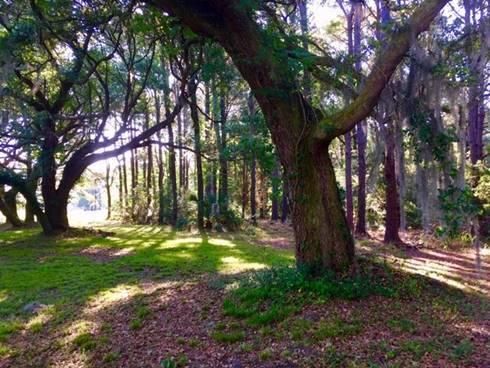 2655 Burden Creek Rd, Johns Island, SC 29455