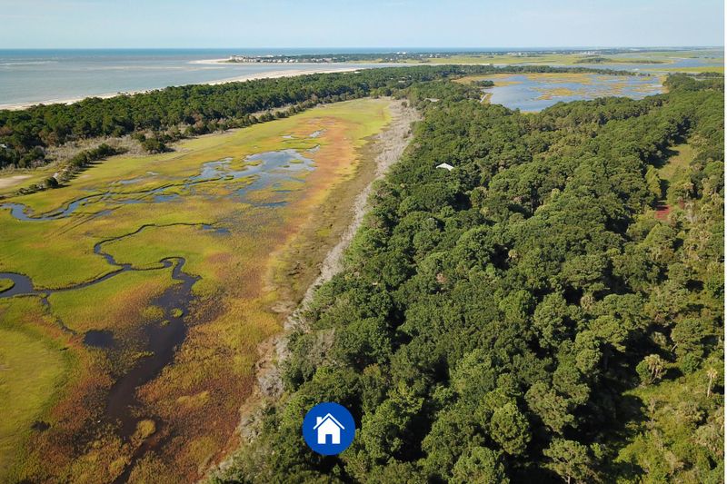 223 Lake Timicau Ln Lot 100, Dewees Island, SC 29451