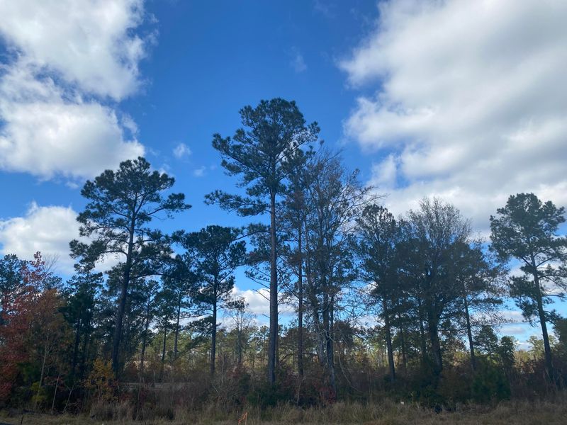 1044 Harriman Ln, Charleston, SC 29492
