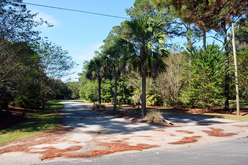 19 Blackbear Dr, Edisto Island, SC 29438