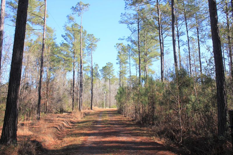 1458 United Dr, Huger, SC 29450