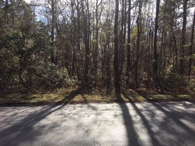 204-208 General Moultrie Dr, Bonneau, SC 29431