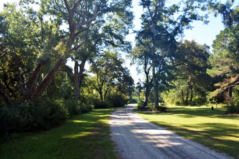 3 Blackbear Dr Lot 3, Edisto Island, SC 29438