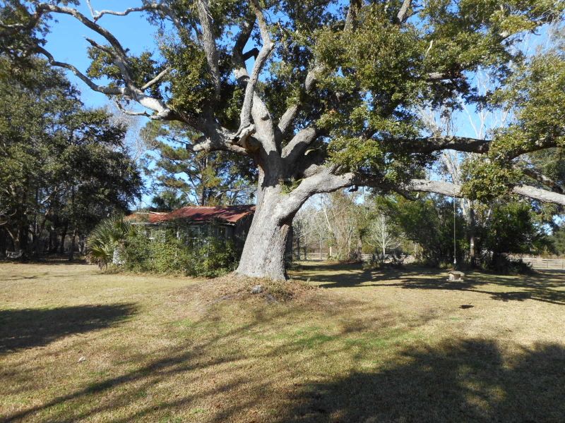 Lot B Legare Rd, Edisto Island, SC 29438