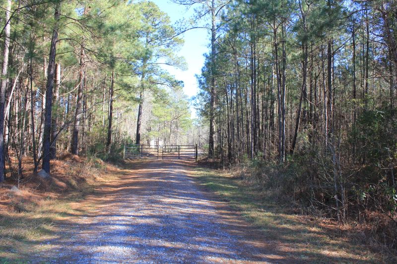 528 Falling Leaves Trl, Bonneau, SC 29431