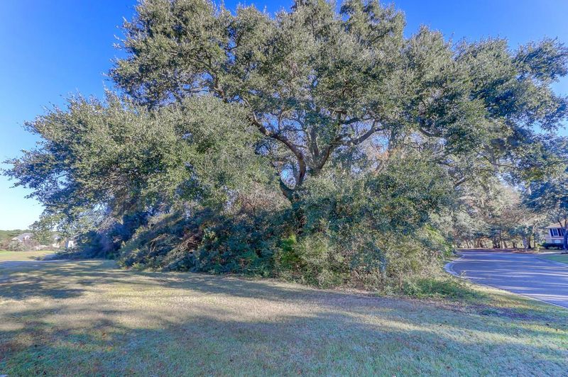 4294 Turtle Landing Ct, Johns Island, SC 29455