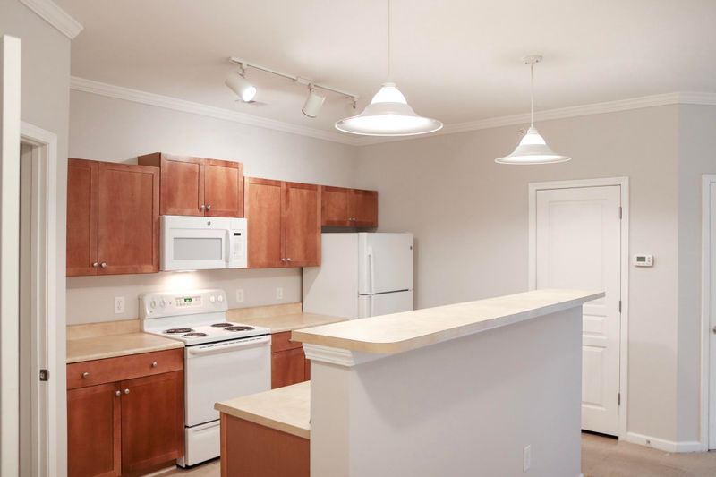100 Bucksley Ln #305, Charleston, SC 29492