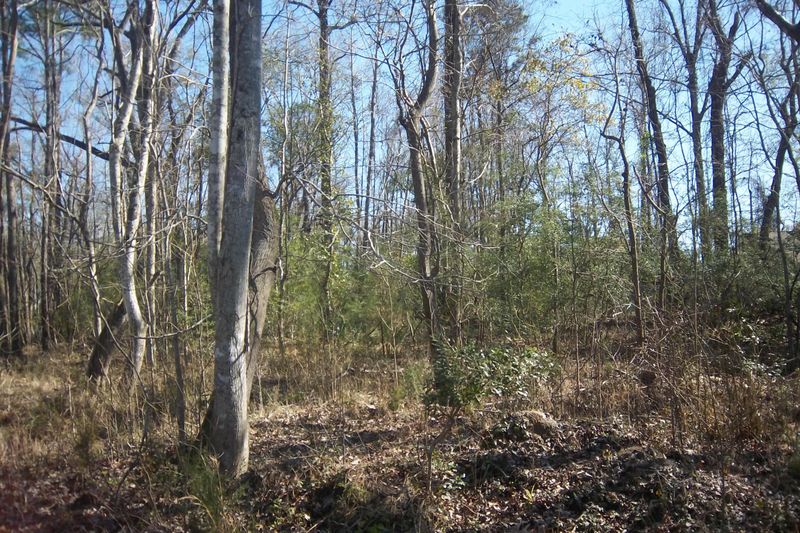 Lot 31 Jean Laffite Rd, Hollywood, SC 29449