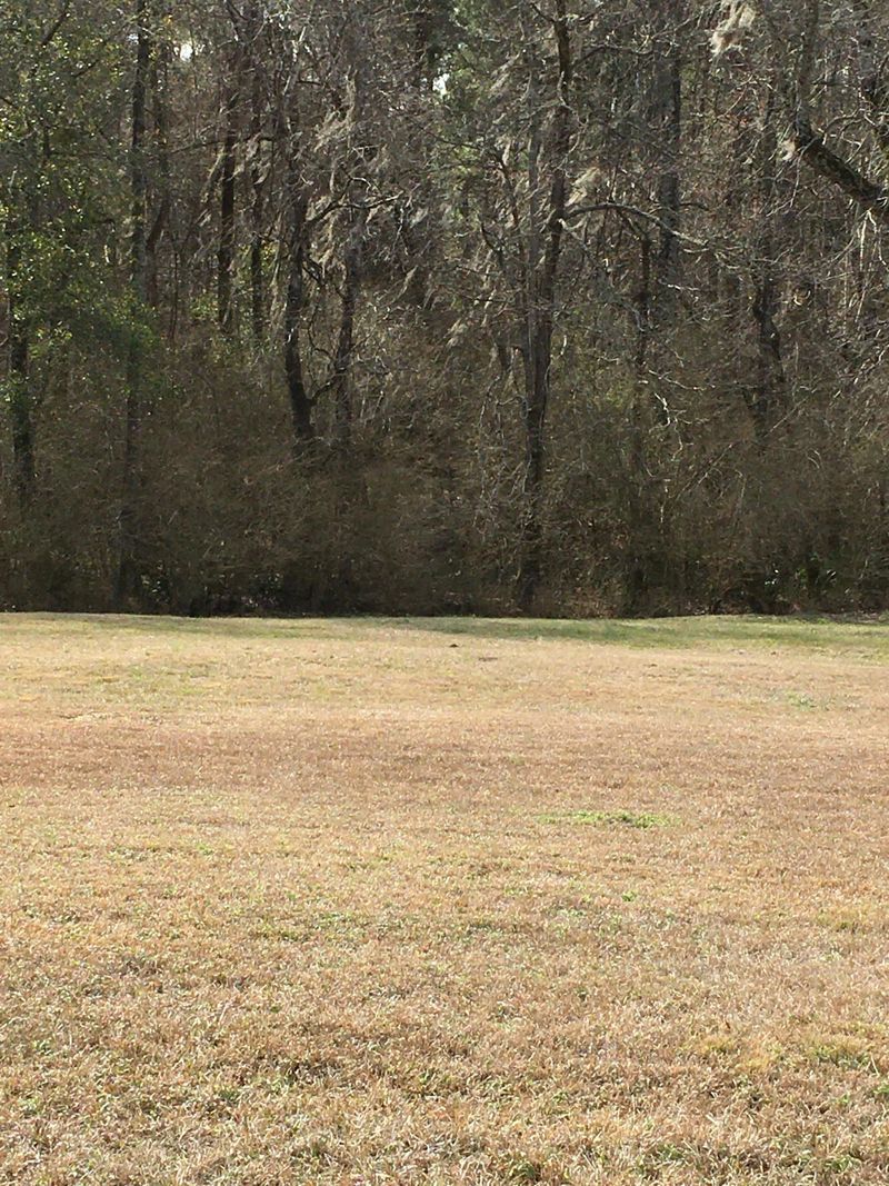 0 Tract B South Railroad Ave, Ridgeville, SC 29472
