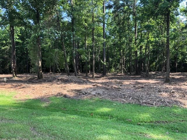 1101 Wassamassaw Plantation Dr, Moncks Corner, SC 29461