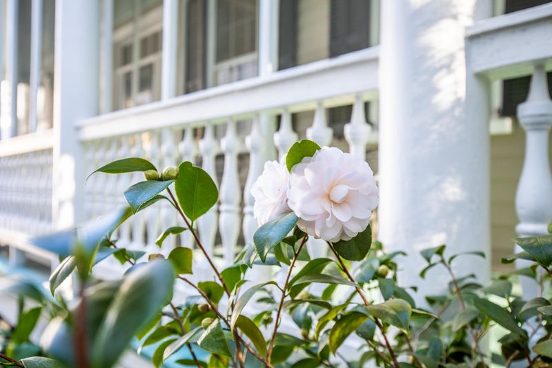 48 Savage St, Charleston, SC 29401