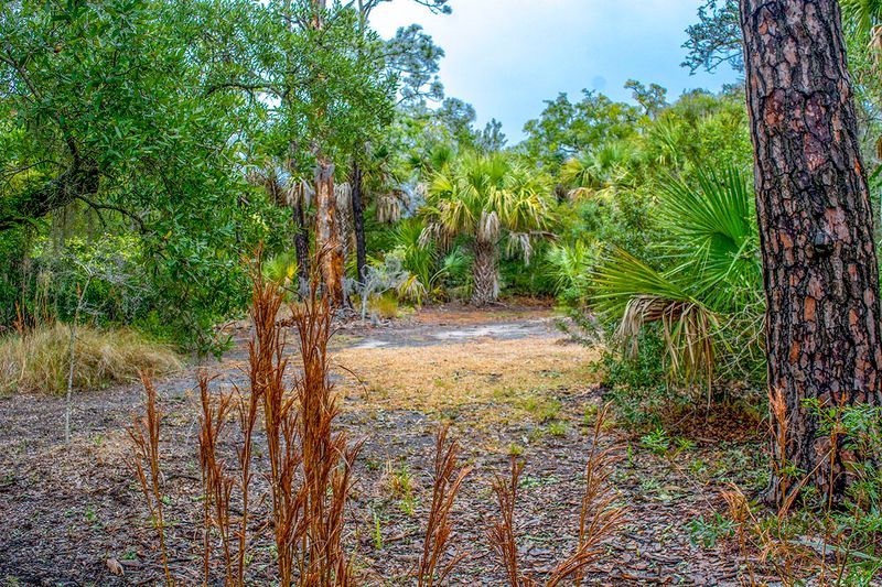 61 Palmetto Pointe Ln, Edisto Island, SC 29438