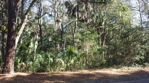 2876 Captain Sams Rd, Johns Island, SC 29455