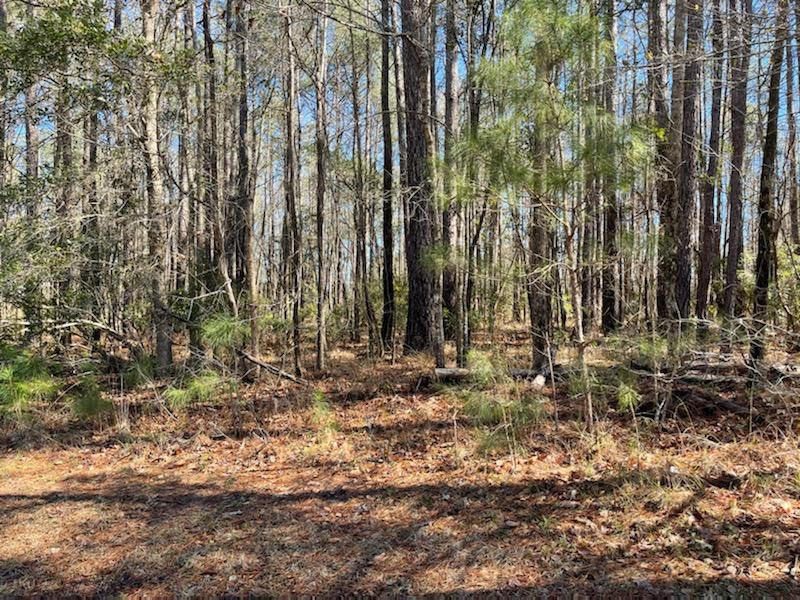 3004 Flat Rock Ln, Ridgeville, SC 29472