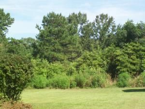 764 Lake Hill Dr, Saint Stephen, SC 29479