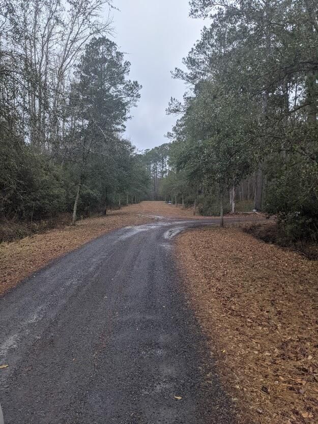 00 Towhee Ln, Mcclellanville, SC 29458