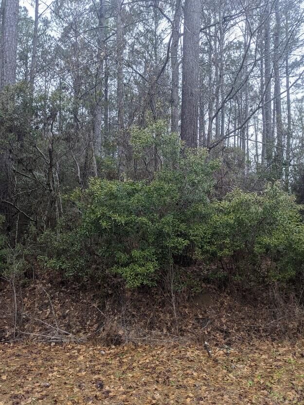 00 Towhee Ln, Mcclellanville, SC 29458