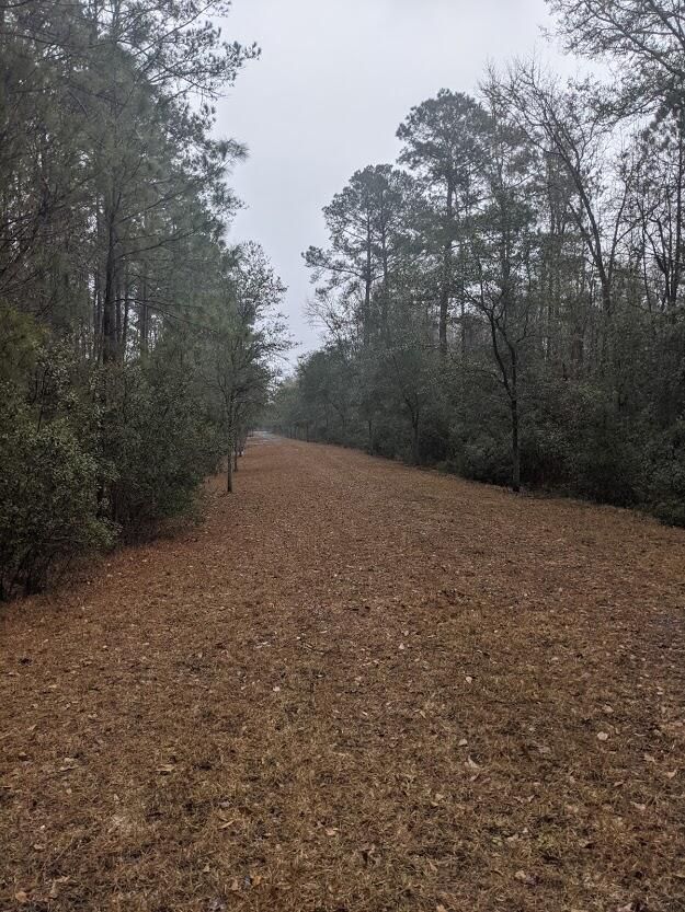 00 Towhee Ln, Mcclellanville, SC 29458