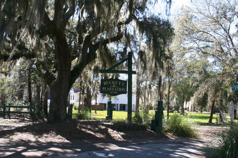 26 Whooping Island Creek Dr, Edisto Island, SC 29438