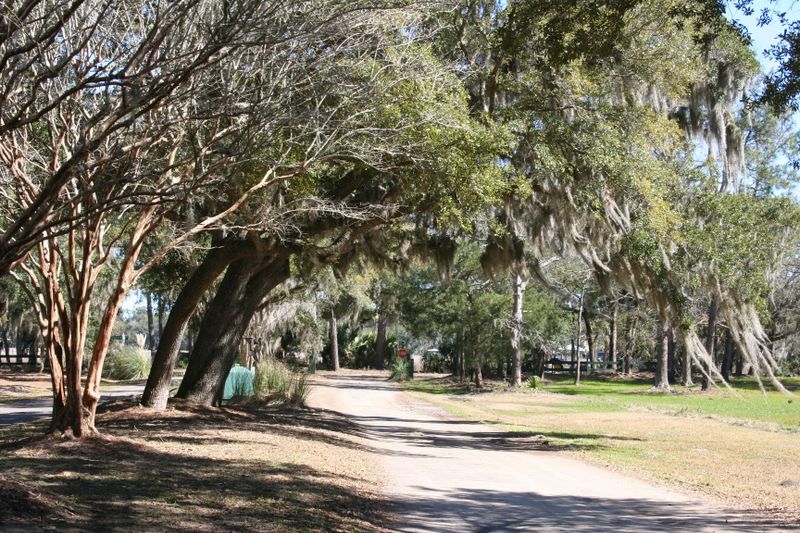 26 Whooping Island Creek Dr, Edisto Island, SC 29438