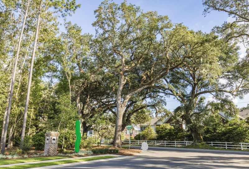 1153 Mossy Rock Dr, Summerville, SC 29485