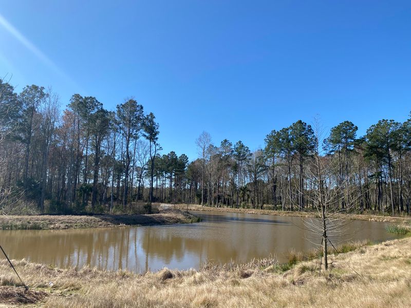 2076 Ten Point Dr, Charleston, SC 29492