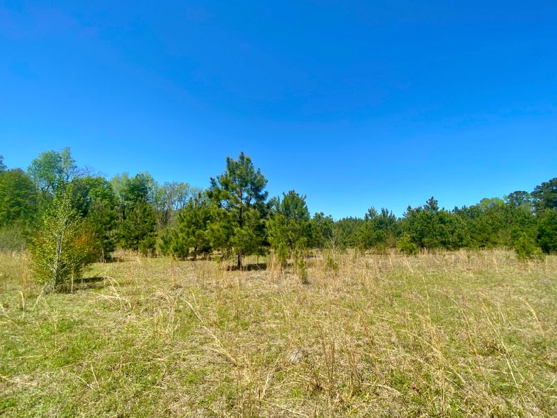 979 Edisto River Rd, Reevesville, SC 29471