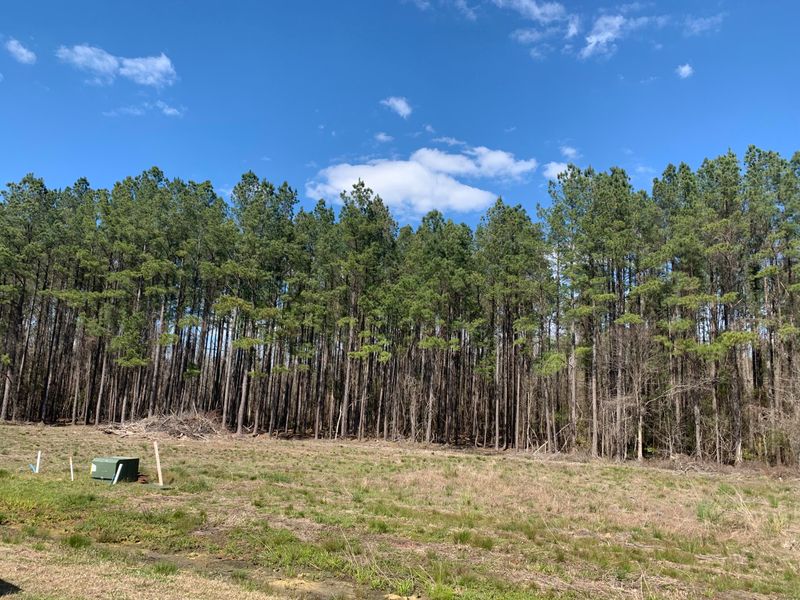 1331 Wood Sorrel Dr, Moncks Corner, SC 29461