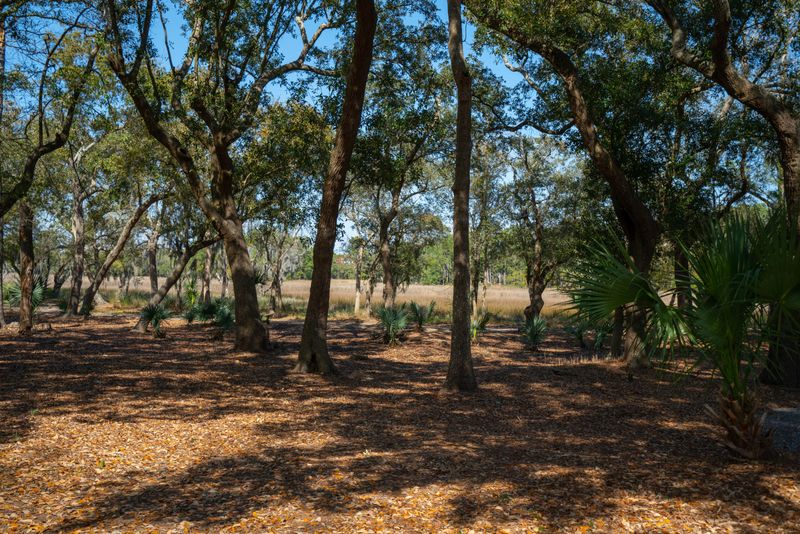 1168 Barfield St, Daniel Island, SC 29492
