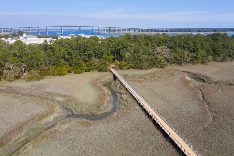 1168 Barfield St, Daniel Island, SC 29492