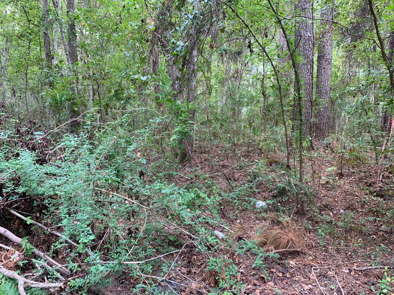 0000 University Dr Lot 149, North Charleston, SC 29418
