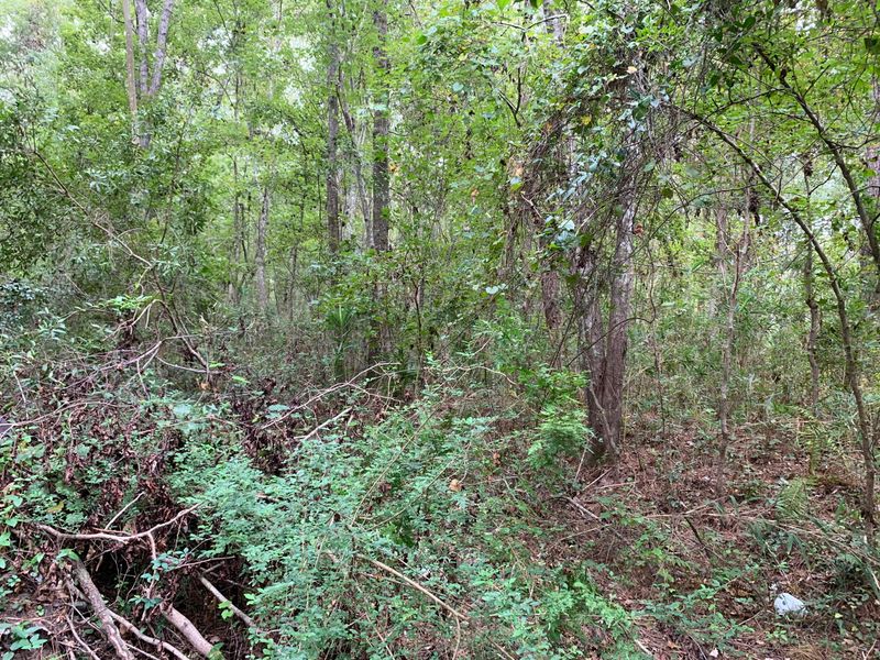 0000 University Dr Lot 149, North Charleston, SC 29418