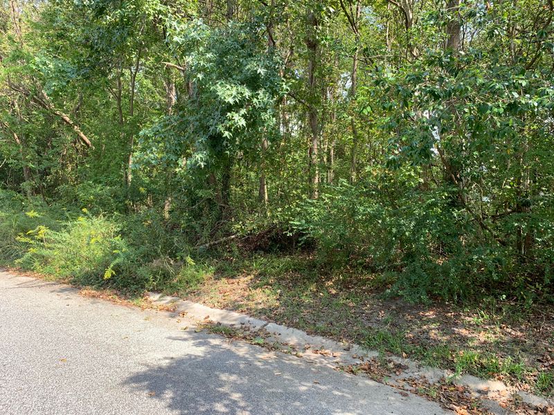 00 Pryors Ln Lot B9, Ladson, SC 29485