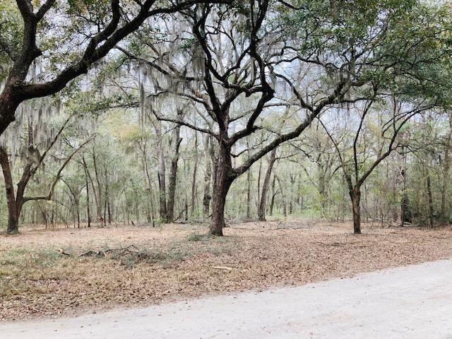 30-B Pawlette Blake Ln, Wadmalaw Island, SC 29487