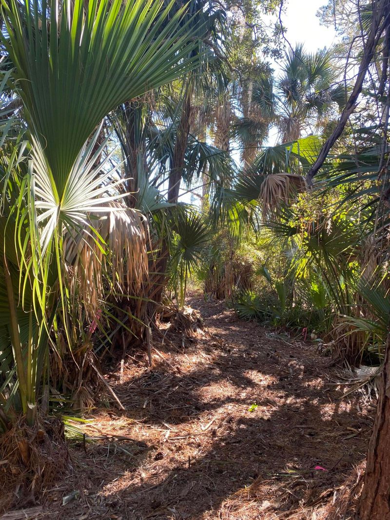 2961 Deer Point Dr, Seabrook Island, SC 29455