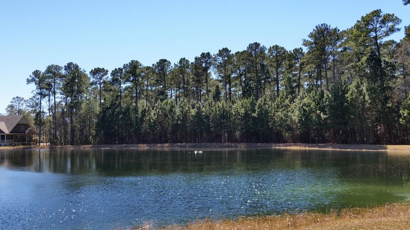 4025 Ten Shillings Way, Hollywood, SC 29470