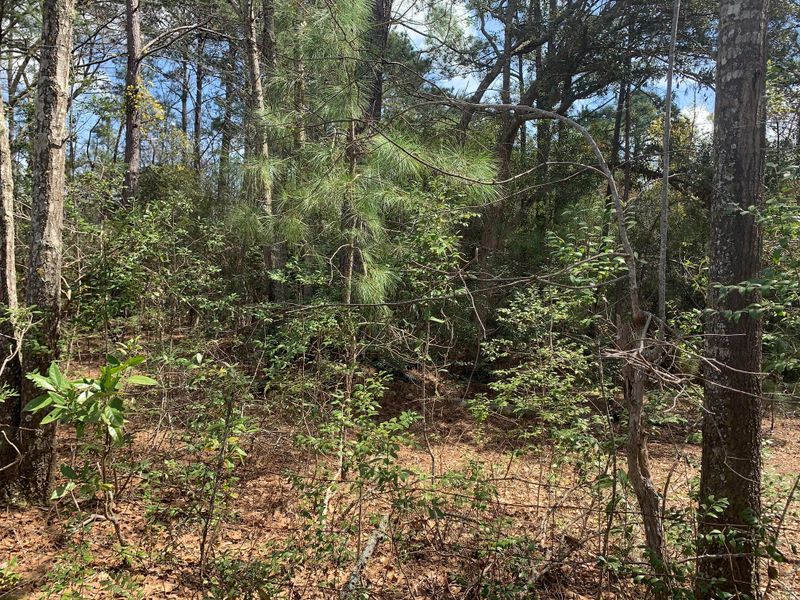 Lot B-2 Zelasko Dr, Johns Island, SC 29455
