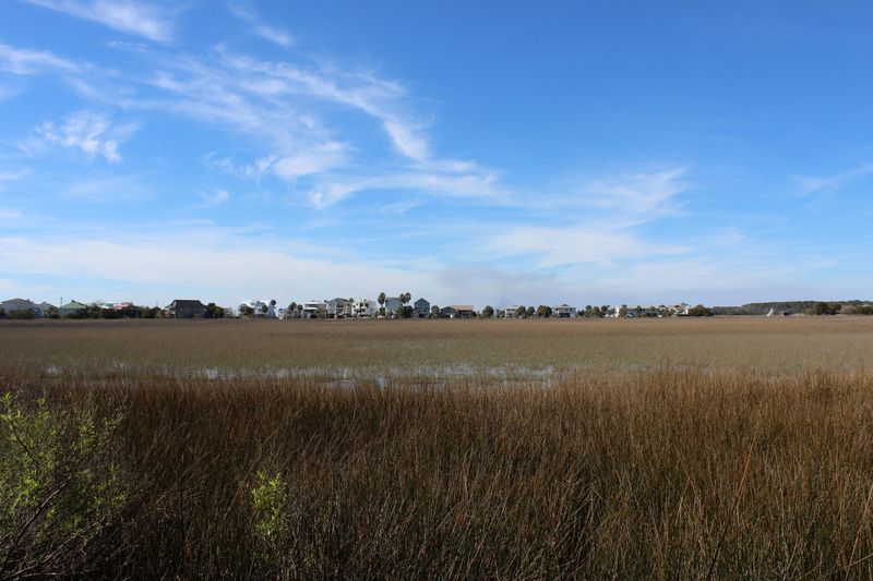 1405 Jungle Rd, Edisto Beach, SC 29438